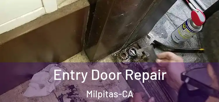  Entry Door Repair Milpitas-CA