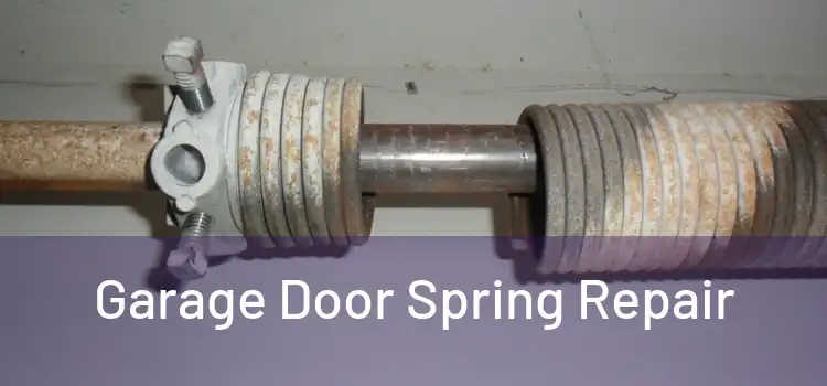  Garage Door Spring Repair 